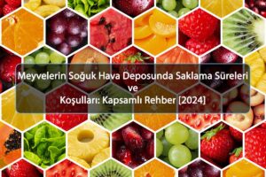 Meyvelerin Soğuk Hava Deposunda Saklama Süreleri ve Koşulları: Kapsamlı Rehber