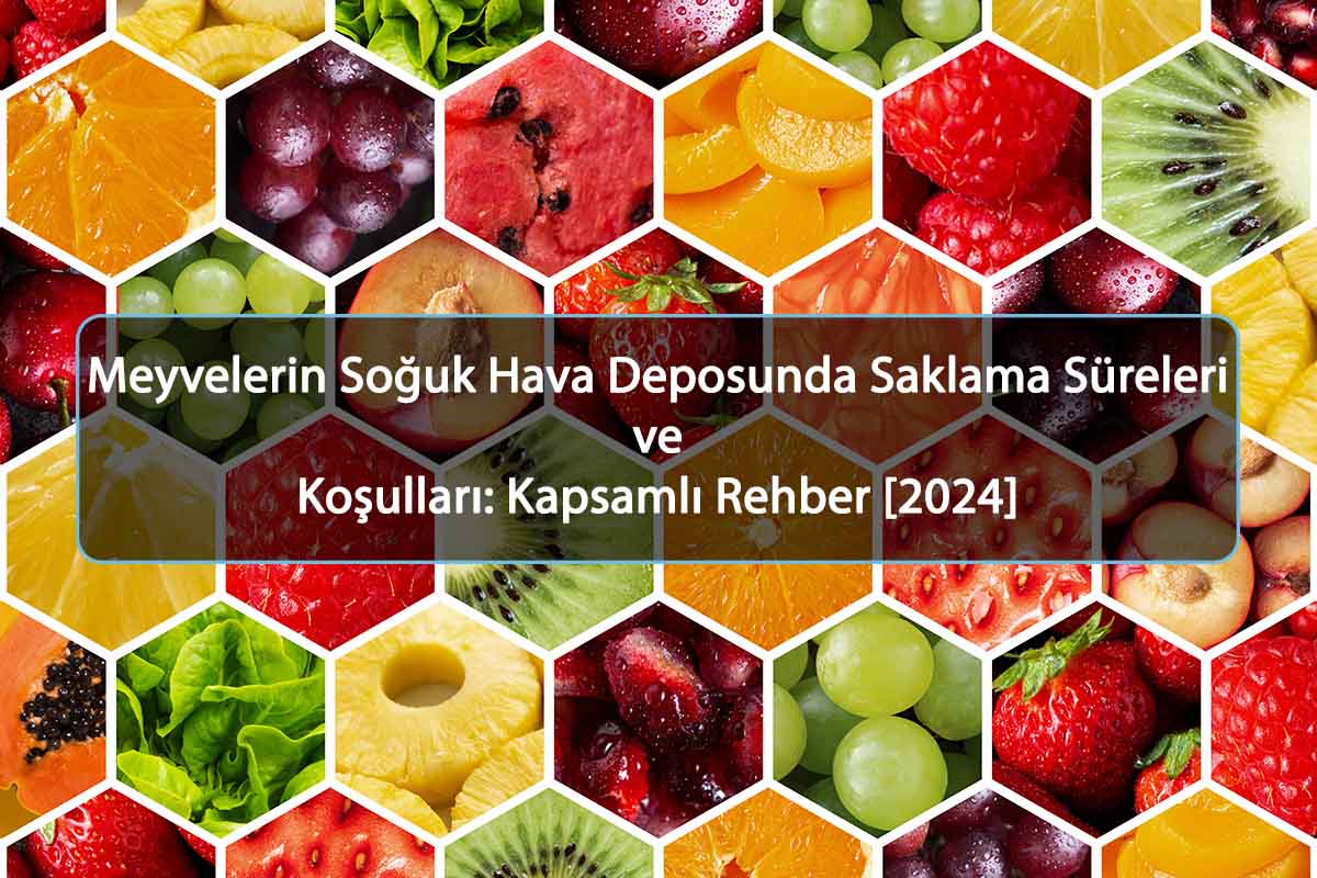 Meyvelerin Soğuk Hava Deposunda Saklama Süreleri ve Koşulları: Kapsamlı Rehber