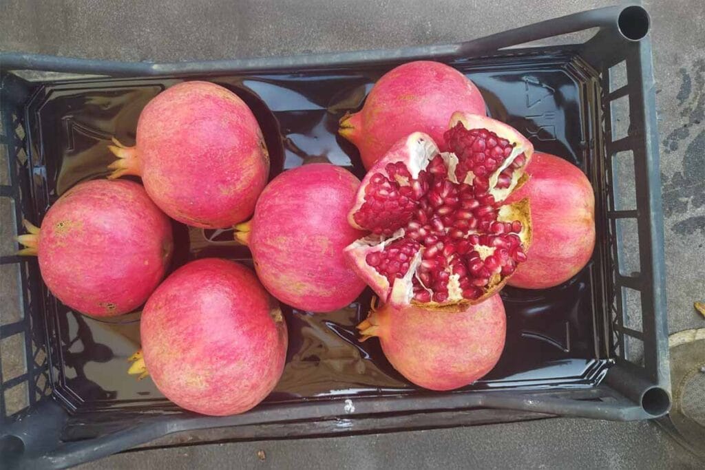 nar saklama koşulları